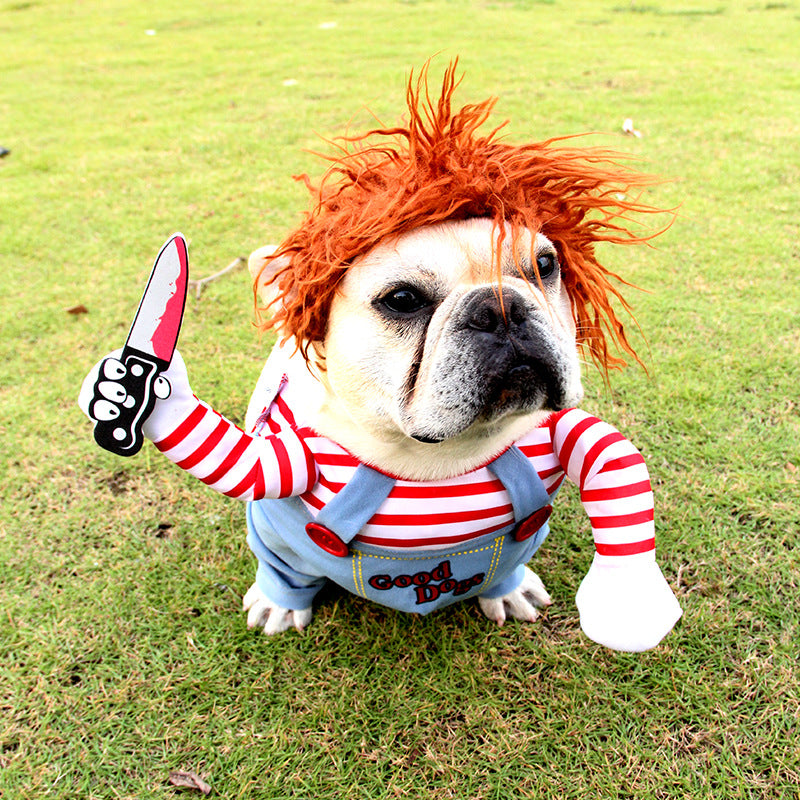 Funny Dog Costume