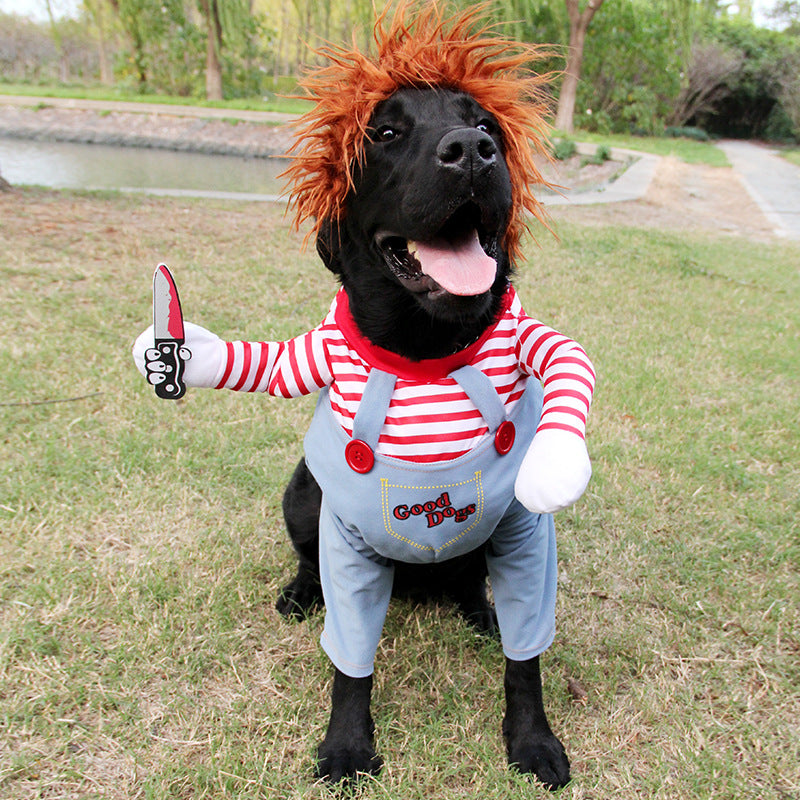 Funny Dog Costume