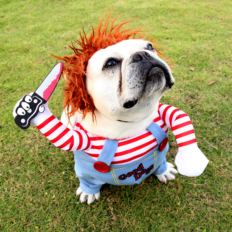 Funny Dog Costume