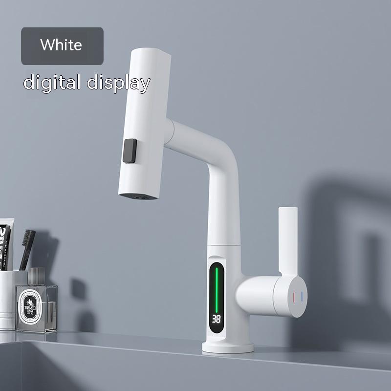 Temperature Digital Display