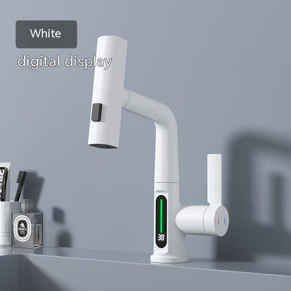 Temperature Digital Display