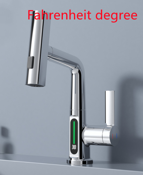 Temperature Digital Display