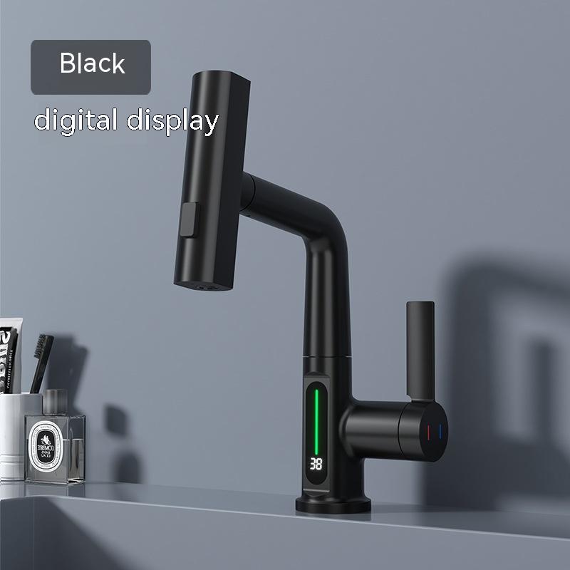 Temperature Digital Display