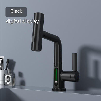 Temperature Digital Display