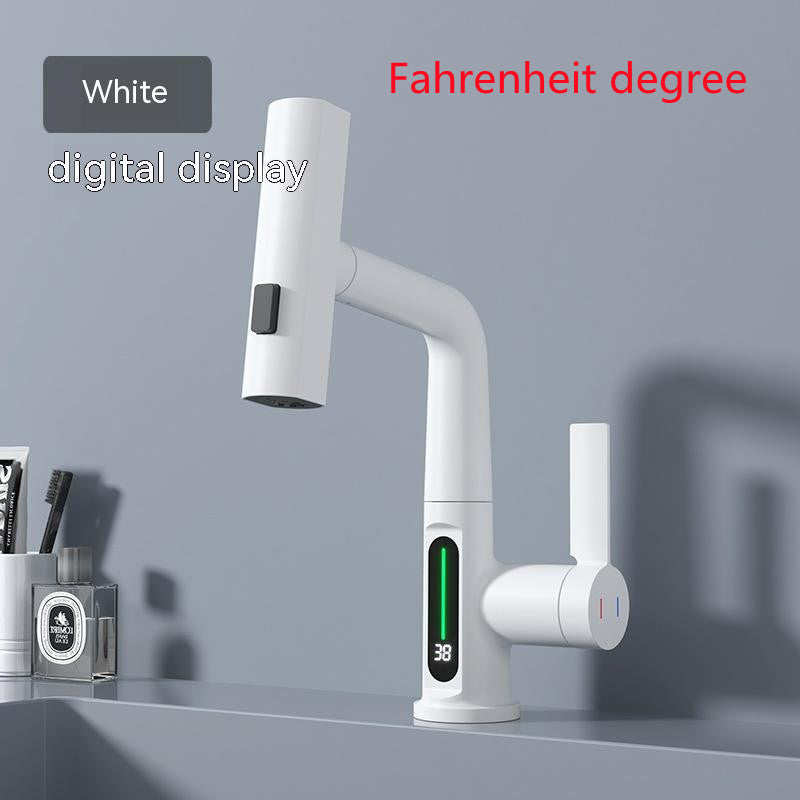 Temperature Digital Display