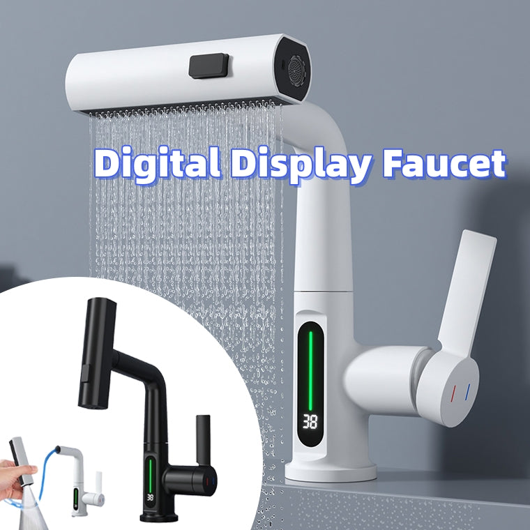 Temperature Digital Display